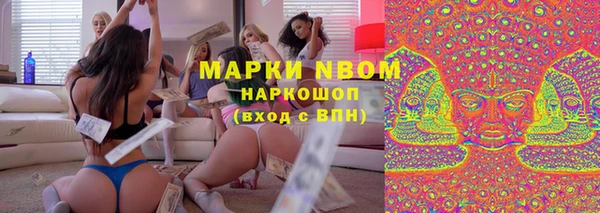 ГАЛЛЮЦИНОГЕННЫЕ ГРИБЫ Белокуриха
